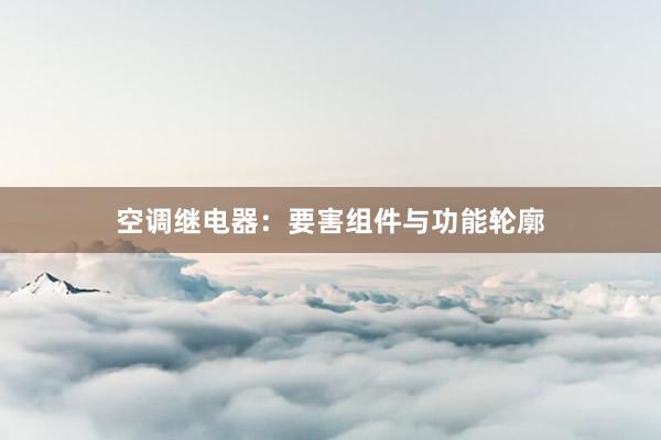 空调继电器：要害组件与功能轮廓